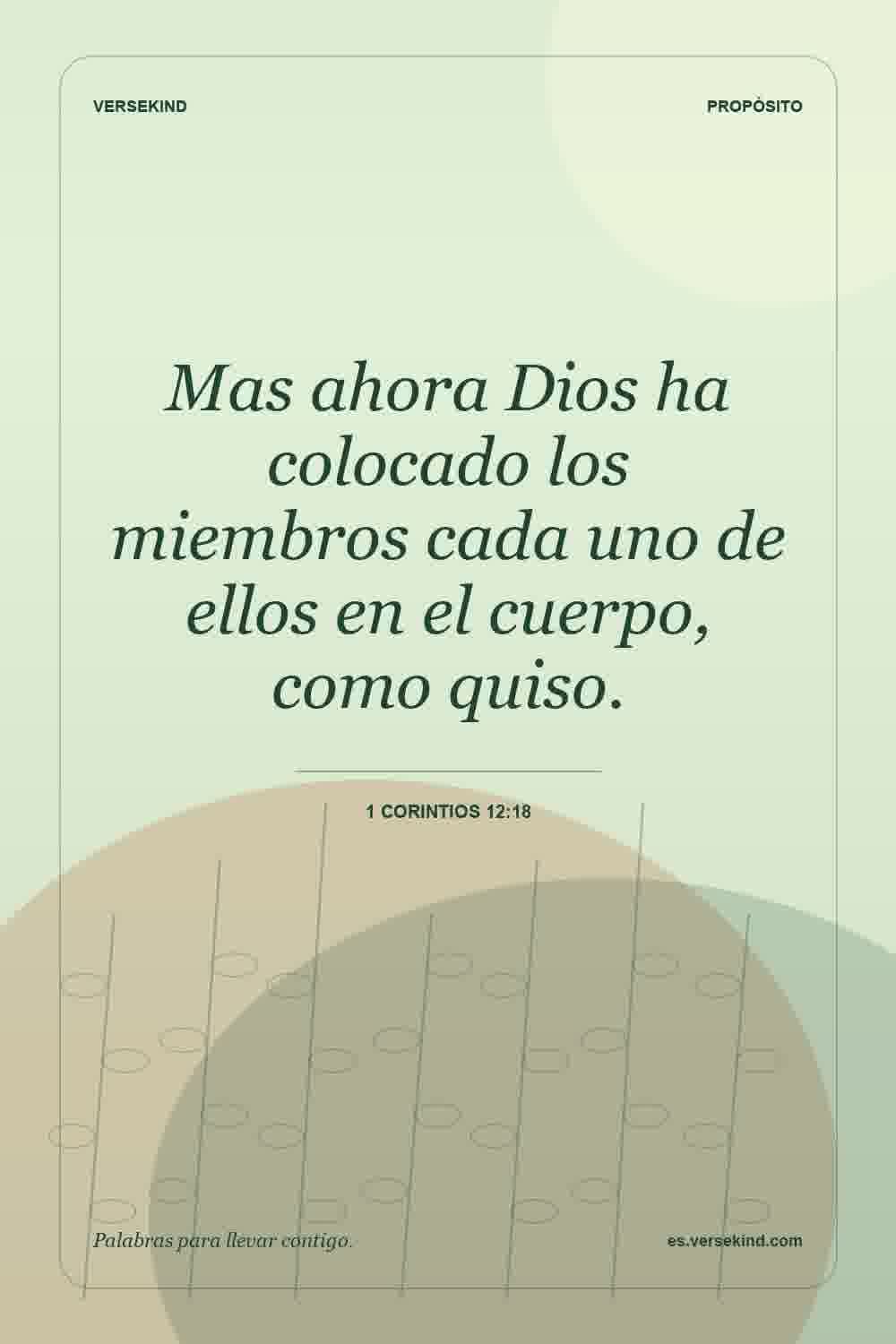 Mas ahora Dios ha colocado los miembros cada uno de ellos en el cuerpo, como quiso. — 1 Corintios 12:18