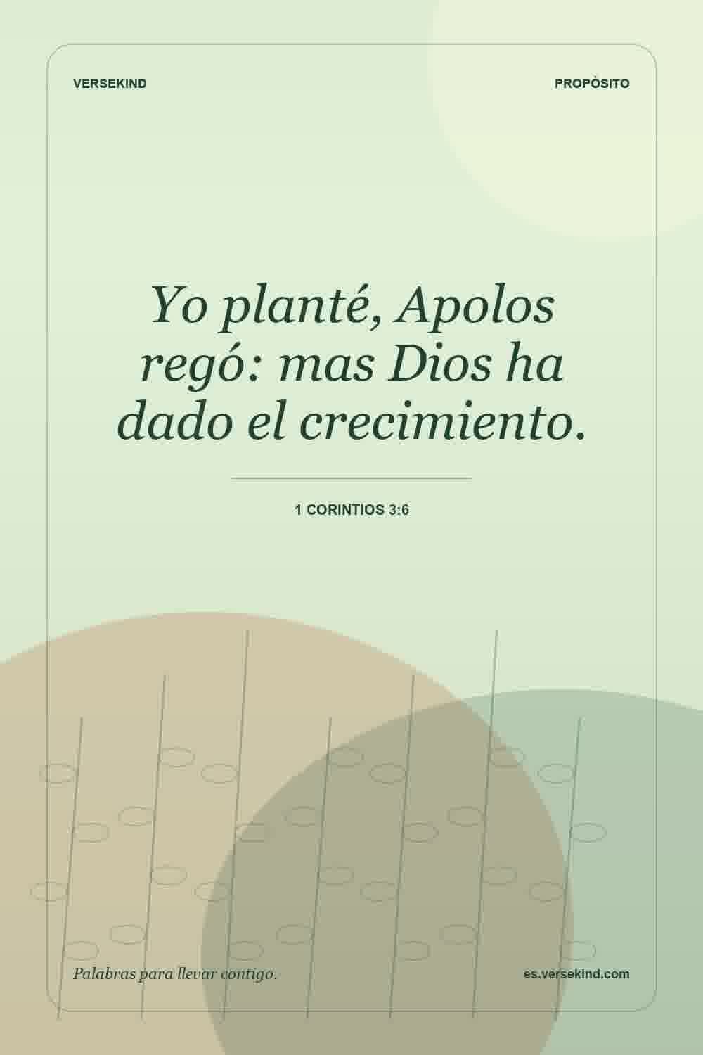 Yo planté, Apolos regó: mas Dios ha dado el crecimiento. — 1 Corintios 3:6
