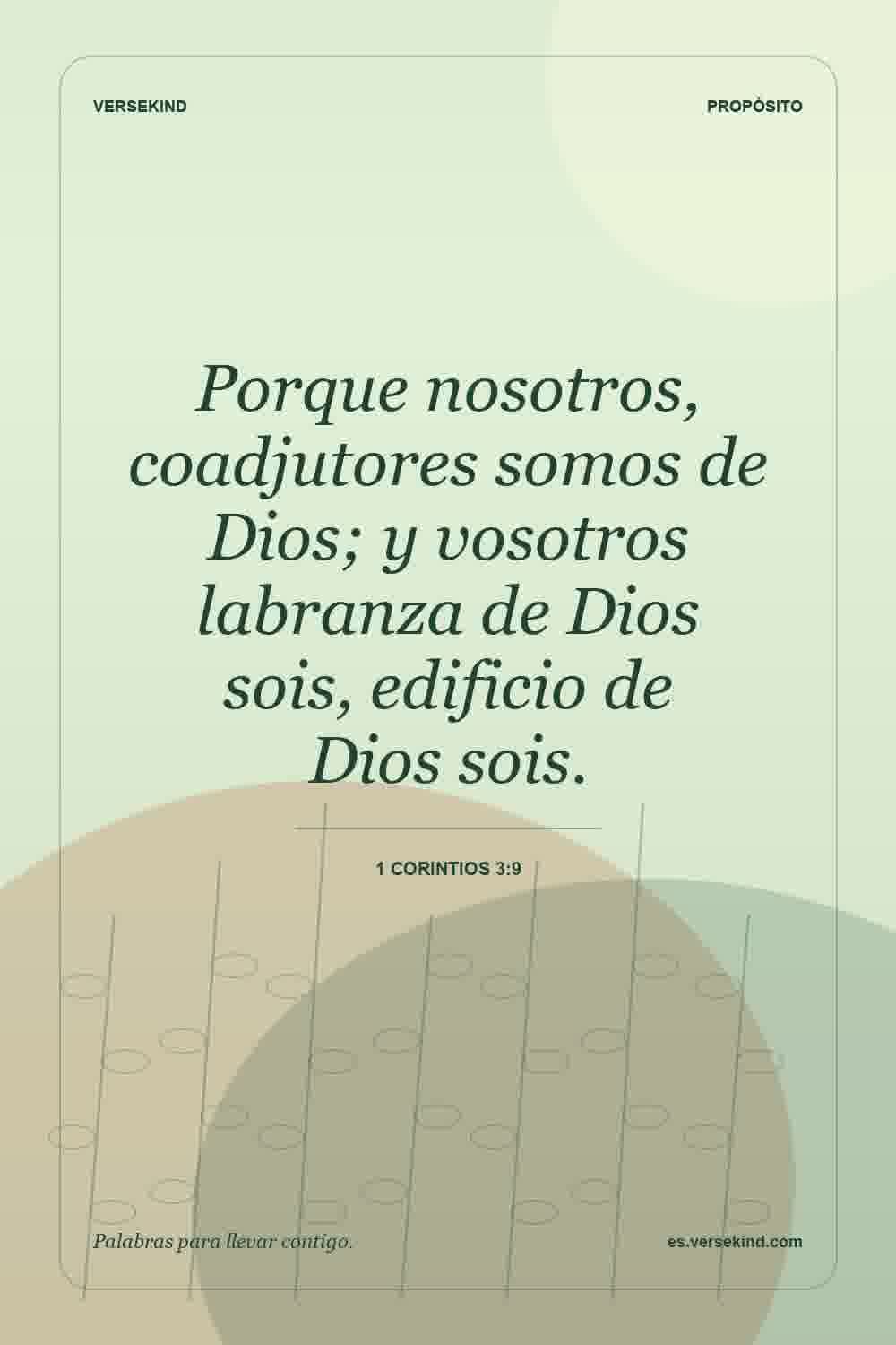 Porque nosotros, coadjutores somos de Dios; y vosotros labranza de Dios sois, edificio de Dios sois. — 1 Corintios 3:9