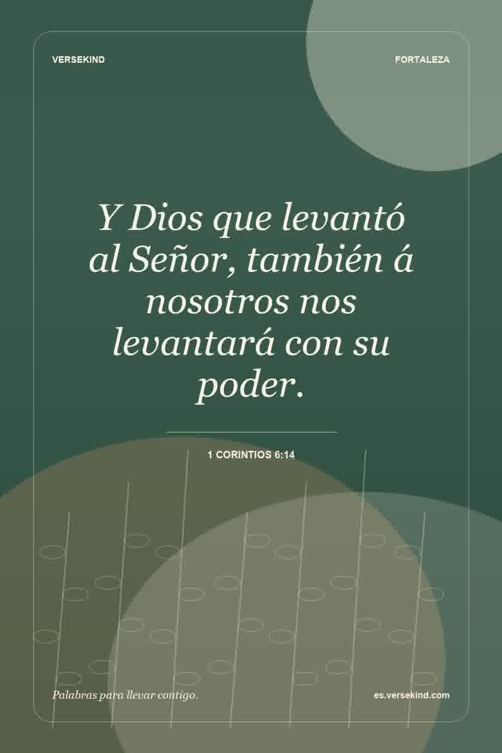 Y Dios que levantó al Señor, también á nosotros nos levantará con su poder. — 1 Corintios 6:14