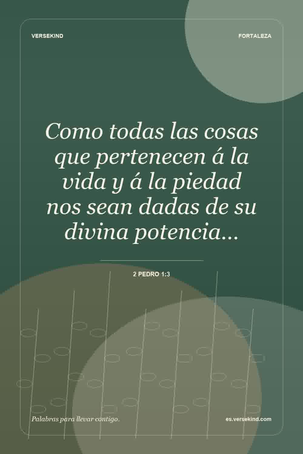 Como todas las cosas que pertenecen á la vida y á la piedad nos sean dadas de su divina potencia… — 2 Pedro 1:3