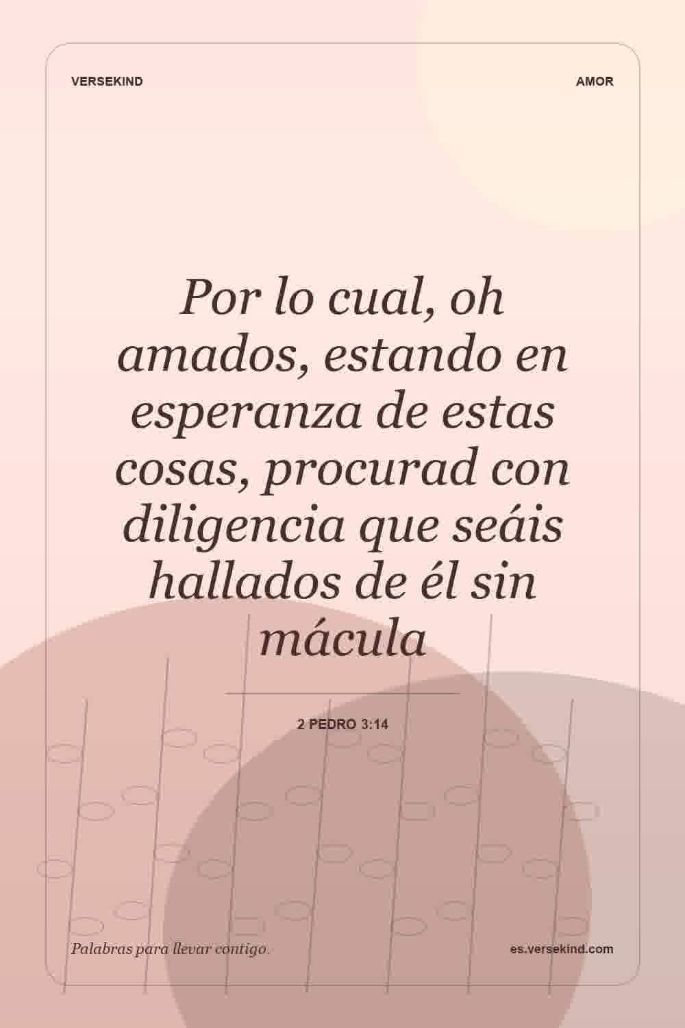 Por lo cual, oh amados, estando en esperanza de estas cosas, procurad con diligencia que seáis hallados de él sin mácula — 2 Pedro 3:14