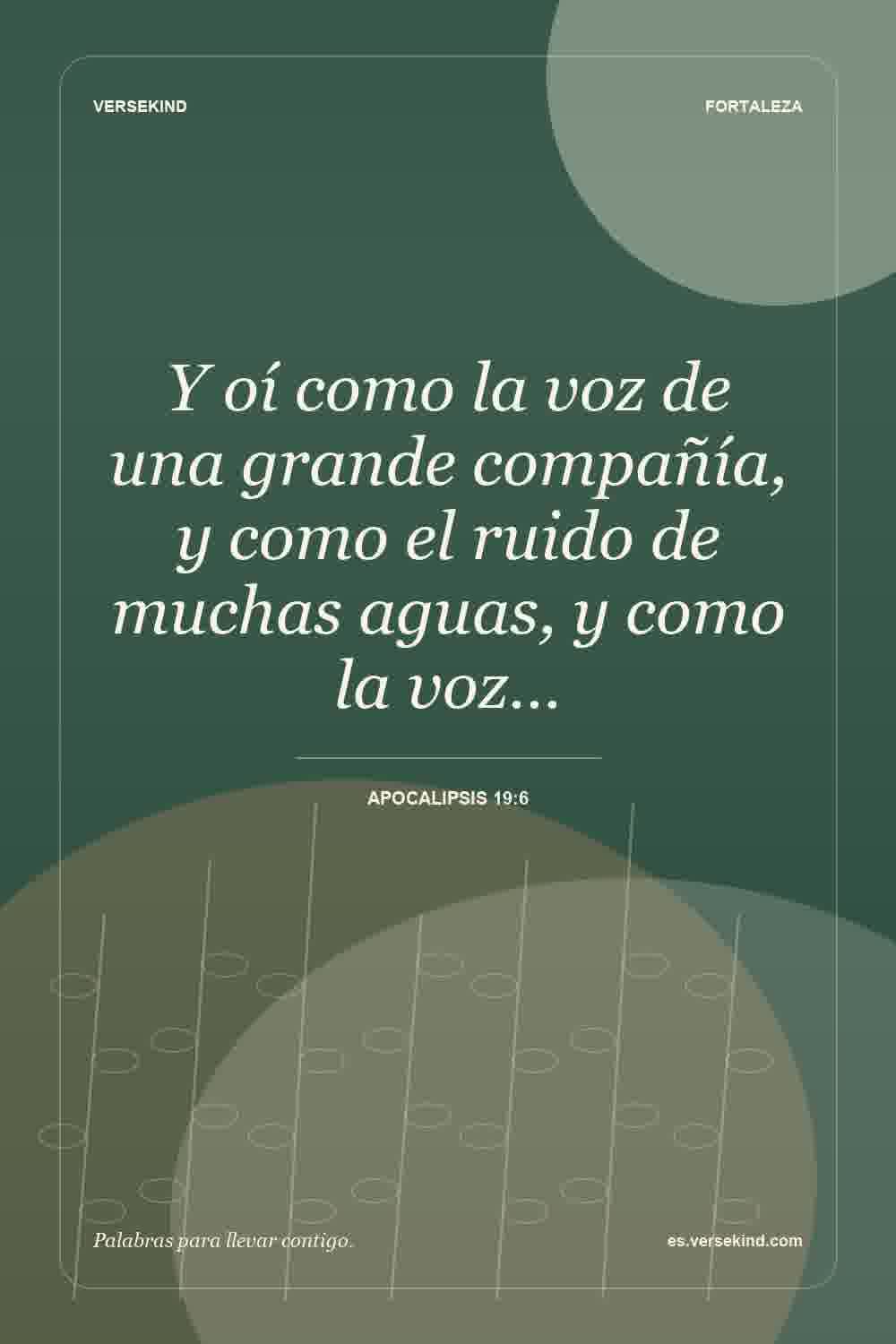 Y oí como la voz de una grande compañía, y como el ruido de muchas aguas, y como la voz… — Apocalipsis 19:6