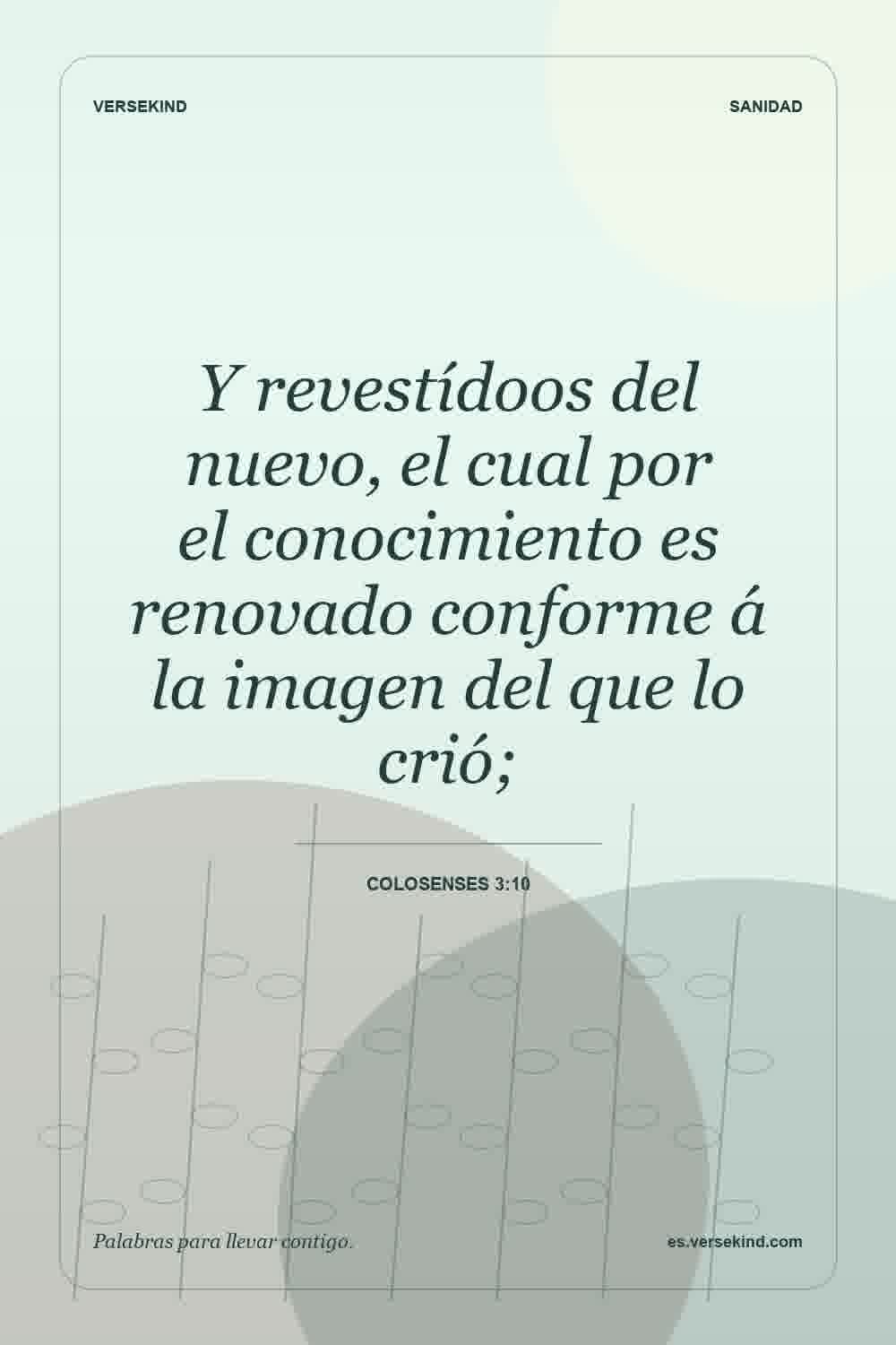 Y revestídoos del nuevo, el cual por el conocimiento es renovado conforme á la imagen del que lo crió; — Colosenses 3:10