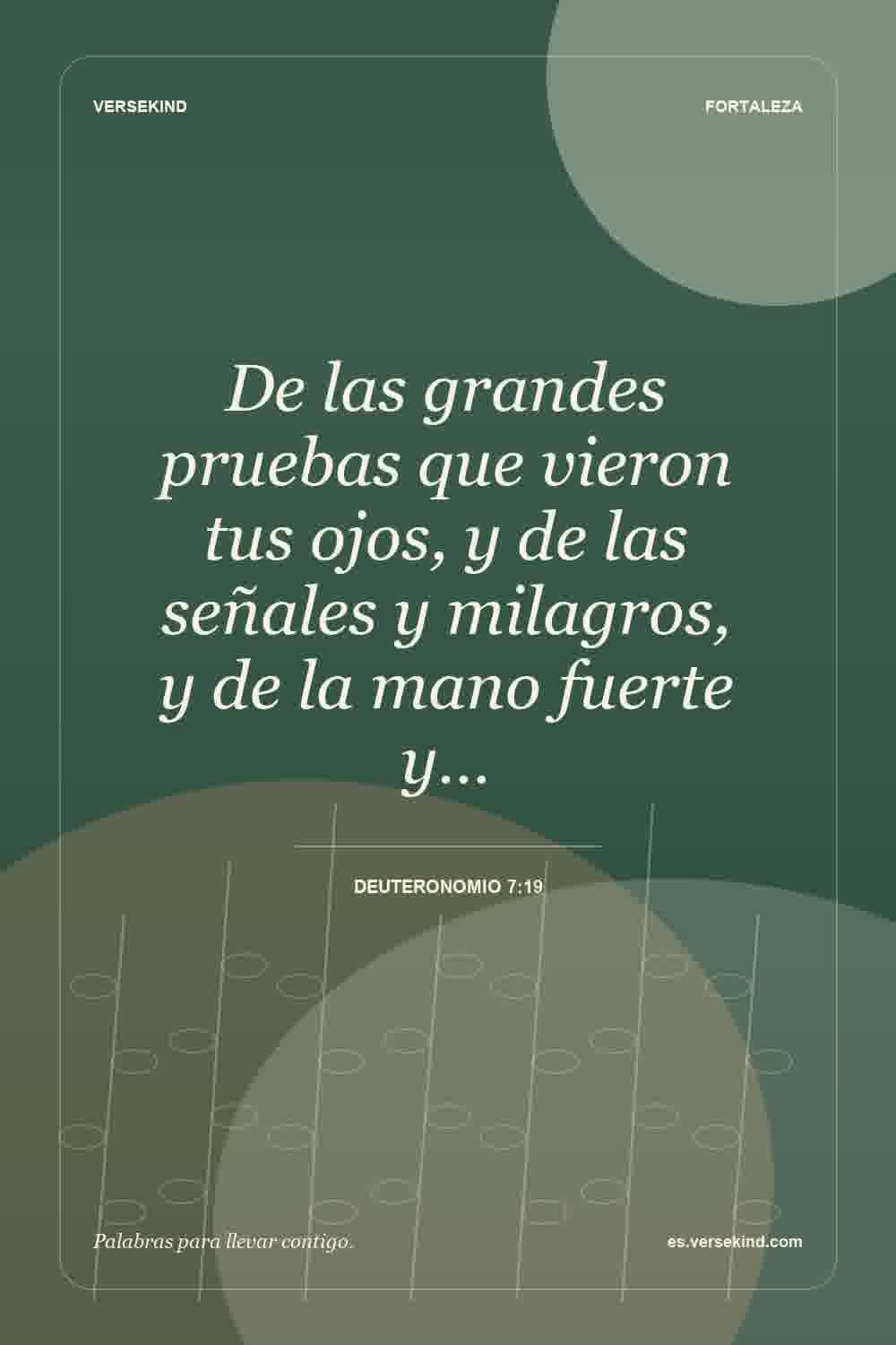 De las grandes pruebas que vieron tus ojos, y de las señales y milagros, y de la mano fuerte y… — Deuteronomio 7:19