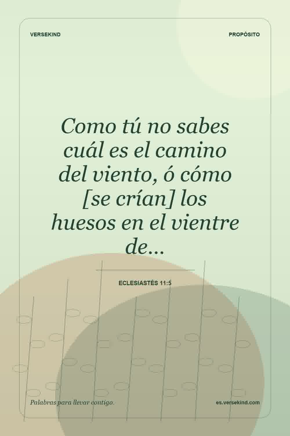 Como tú no sabes cuál es el camino del viento, ó cómo [se crían] los huesos en el vientre de… — Eclesiastés 11:5