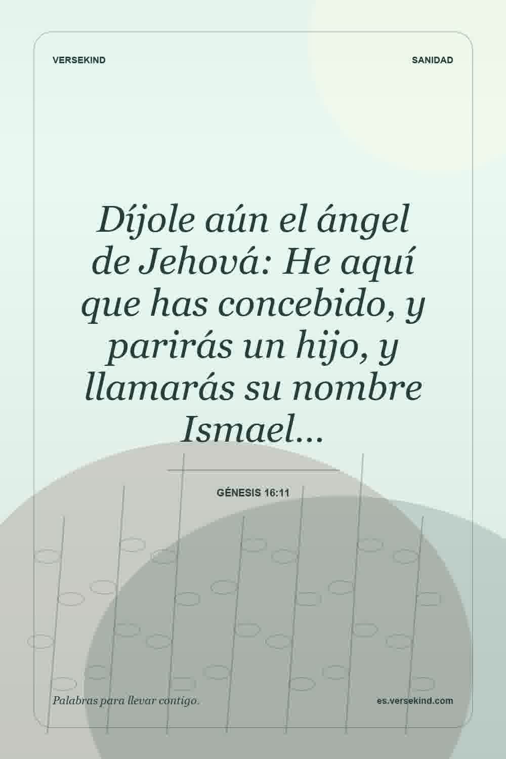 Díjole aún el ángel de Jehová: He aquí que has concebido, y parirás un hijo, y llamarás su nombre Ismael… — Génesis 16:11
