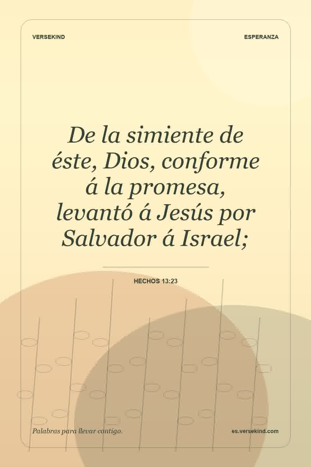 De la simiente de éste, Dios, conforme á la promesa, levantó á Jesús por Salvador á Israel; — Hechos 13:23