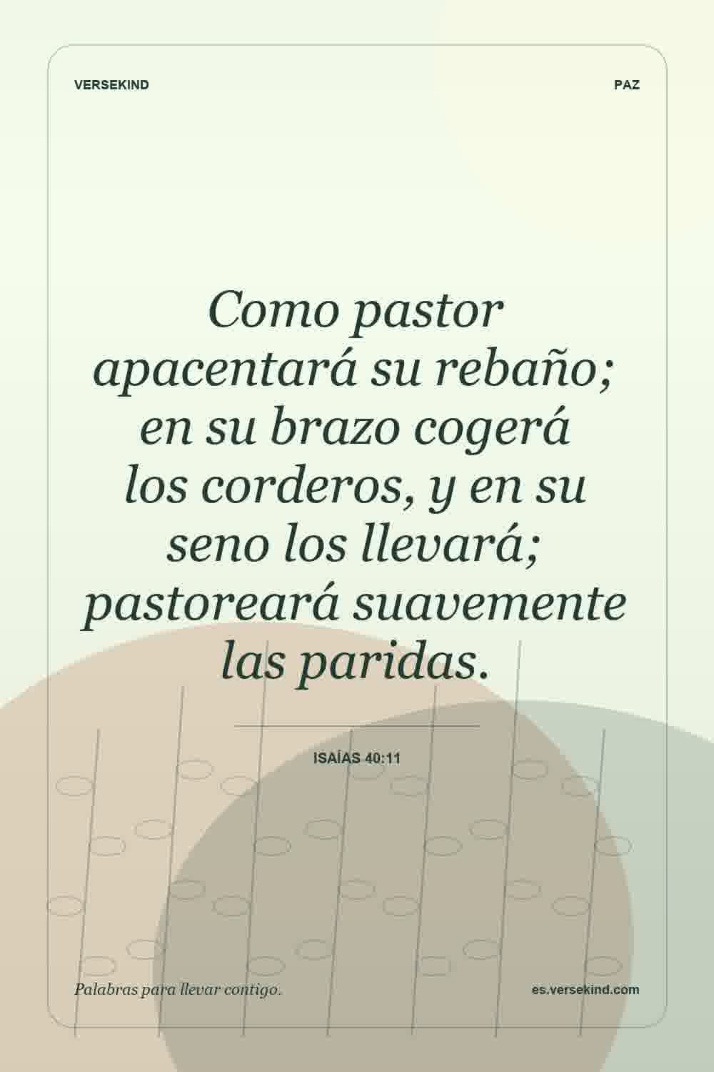 Como pastor apacentará su rebaño; en su brazo cogerá los corderos, y en su seno los llevará; pastoreará suavemente las paridas. — Isaías 40:11