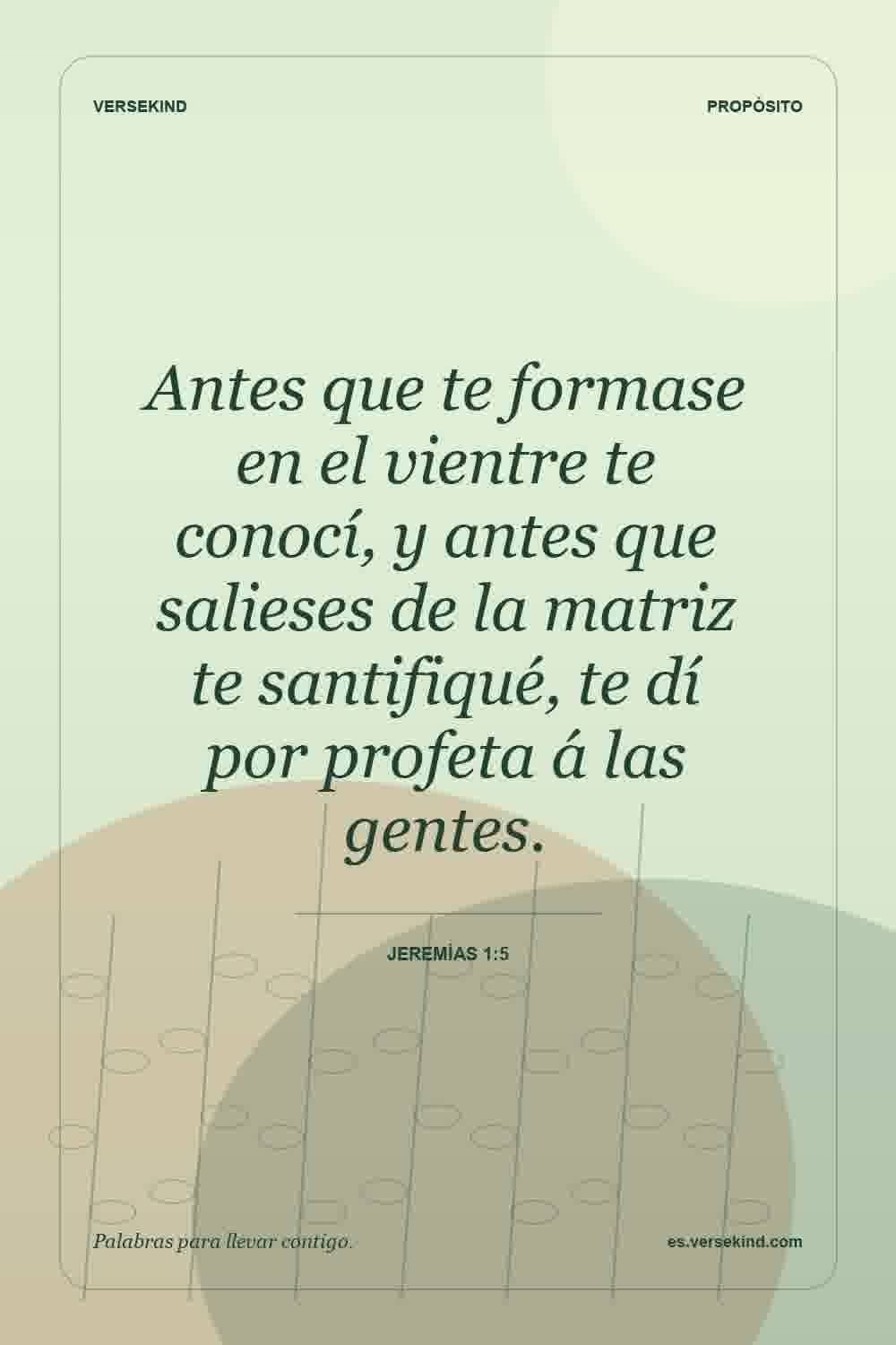 Antes que te formase en el vientre te conocí, y antes que salieses de la matriz te santifiqué, te dí por profeta á las gentes. — Jeremías 1:5