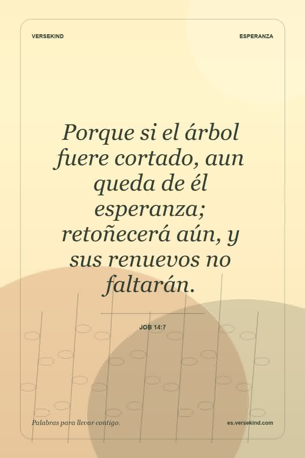 Porque si el árbol fuere cortado, aun queda de él esperanza; retoñecerá aún, y sus renuevos no faltarán. — Job 14:7