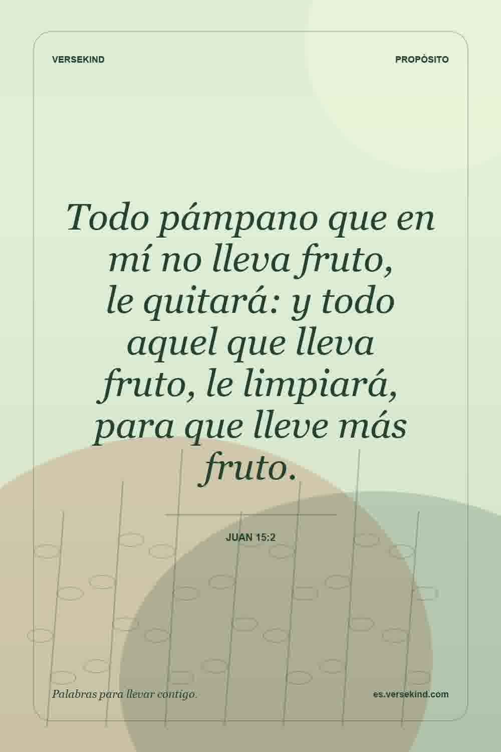 Todo pámpano que en mí no lleva fruto, le quitará: y todo aquel que lleva fruto, le limpiará, para que lleve más fruto. — Juan 15:2