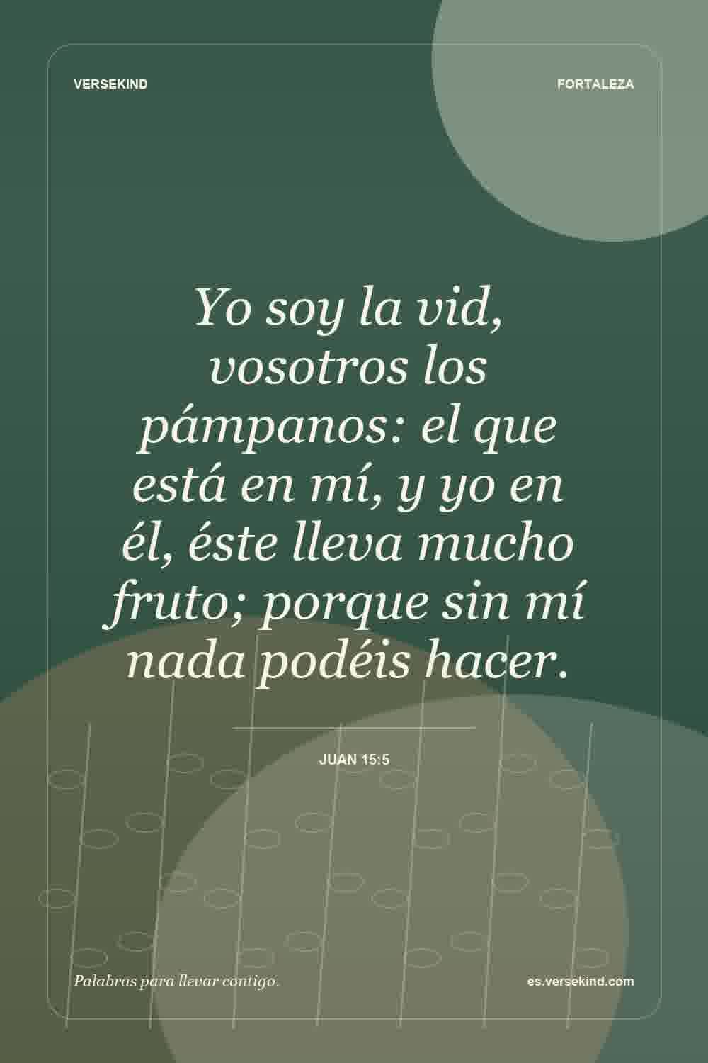Yo soy la vid, vosotros los pámpanos: el que está en mí, y yo en él, éste lleva mucho fruto; porque sin mí nada podéis hacer. — Juan 15:5