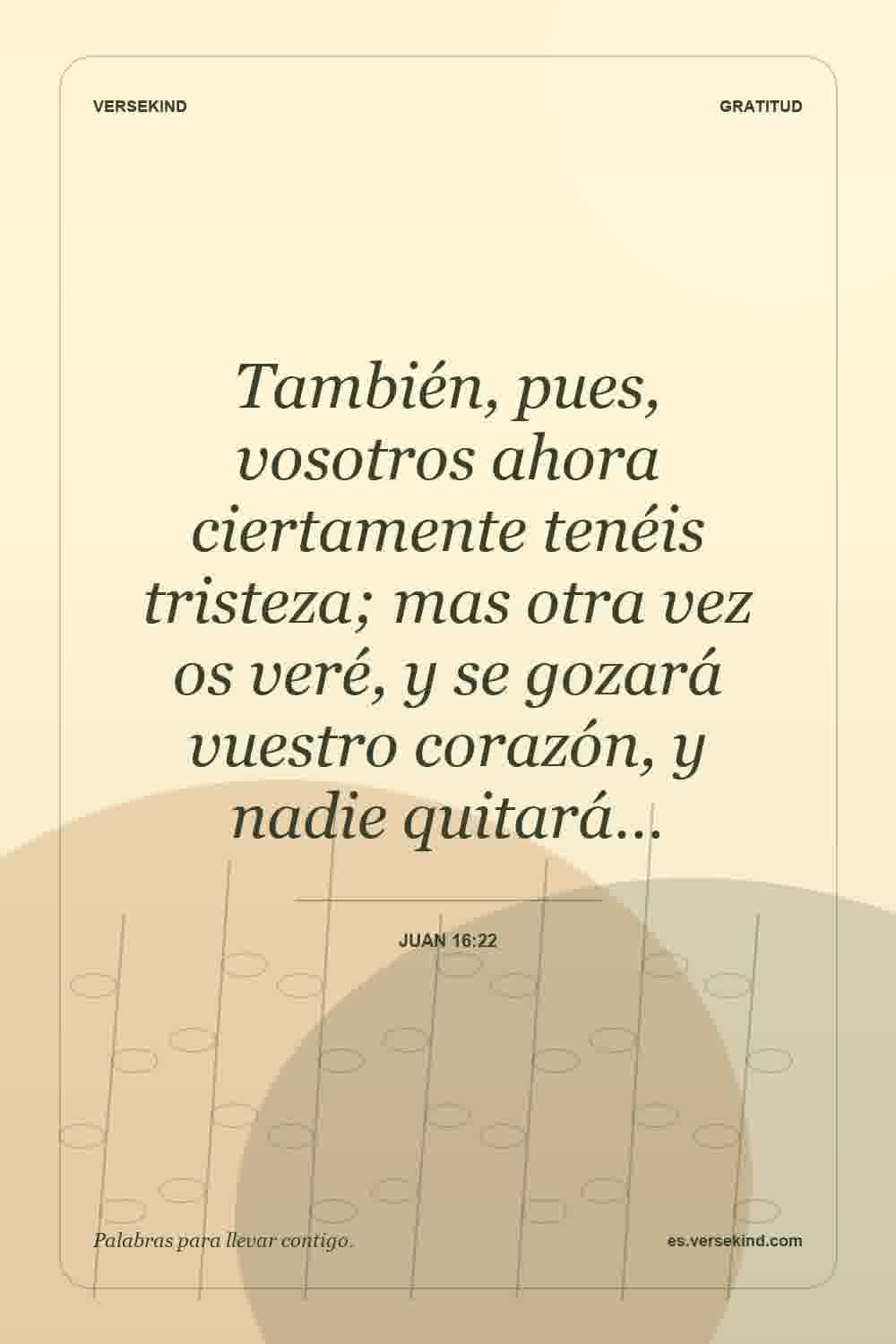 También, pues, vosotros ahora ciertamente tenéis tristeza; mas otra vez os veré, y se gozará vuestro corazón, y nadie quitará… — Juan 16:22