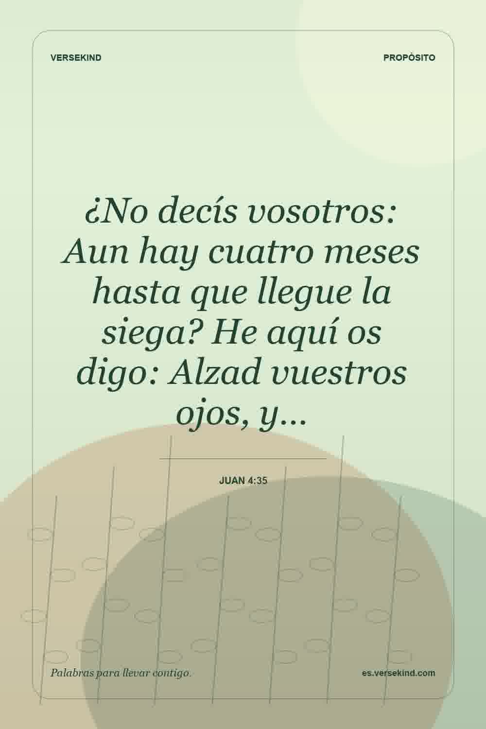 ¿No decís vosotros: Aun hay cuatro meses hasta que llegue la siega? He aquí os digo: Alzad vuestros ojos, y… — Juan 4:35