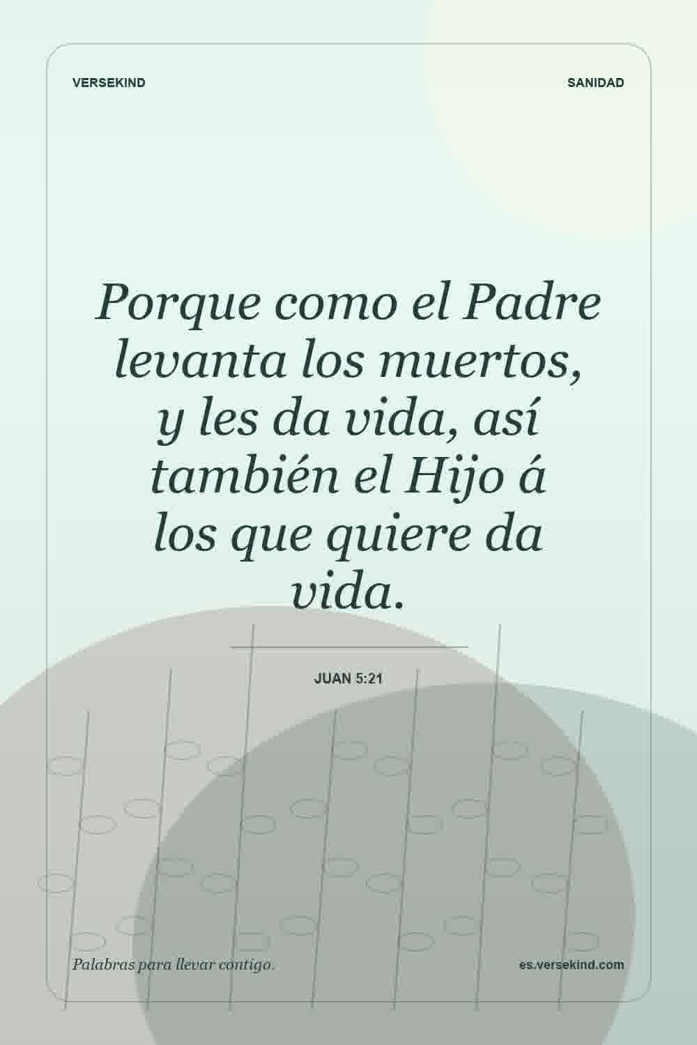 Porque como el Padre levanta los muertos, y les da vida, así también el Hijo á los que quiere da vida. — Juan 5:21