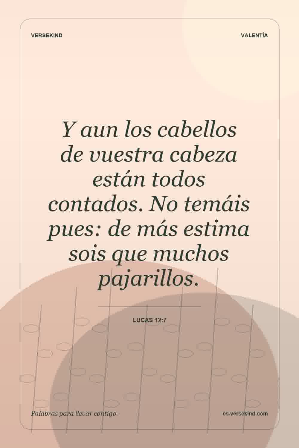 Y aun los cabellos de vuestra cabeza están todos contados. No temáis pues: de más estima sois que muchos pajarillos. — Lucas 12:7