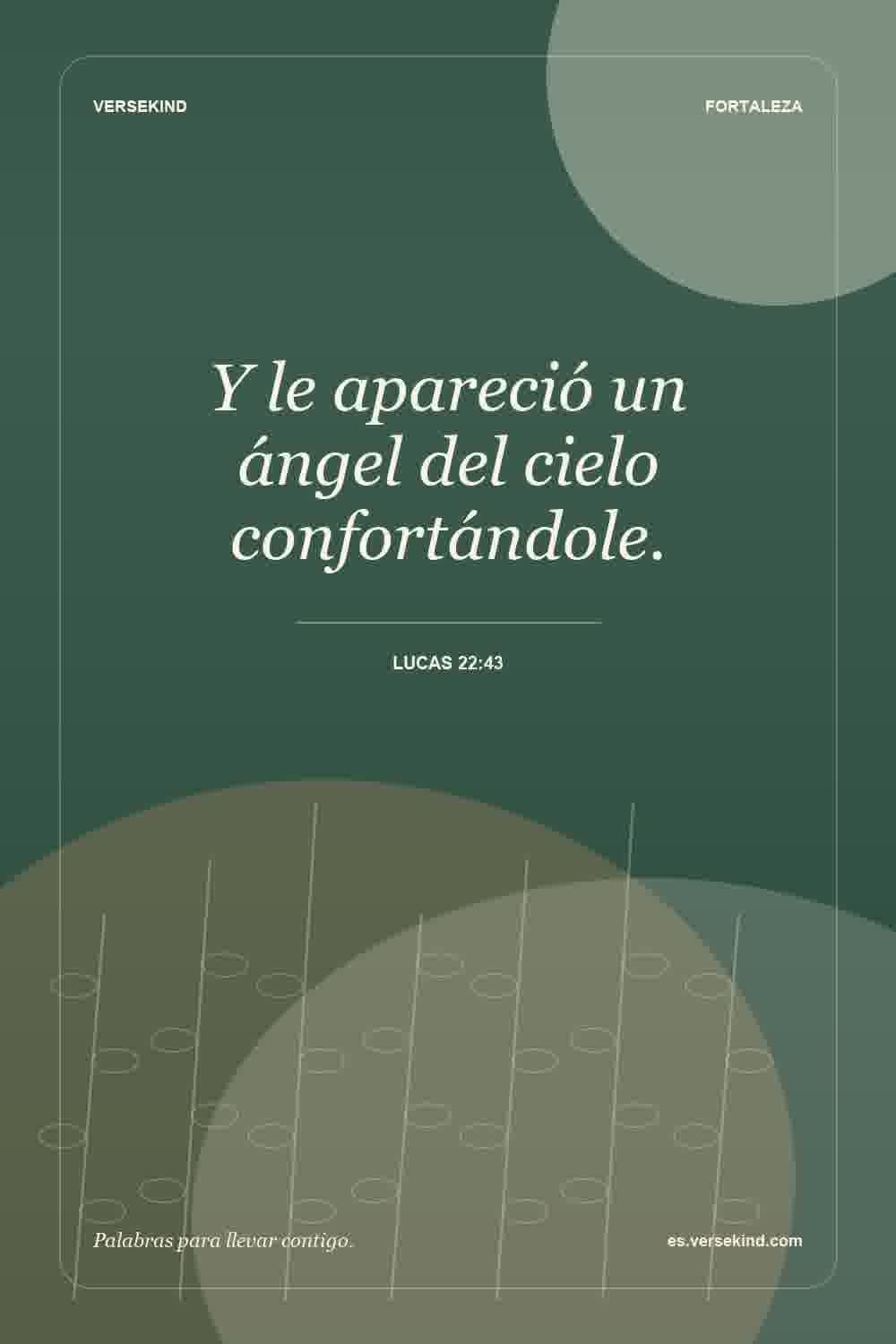 Y le apareció un ángel del cielo confortándole. — Lucas 22:43