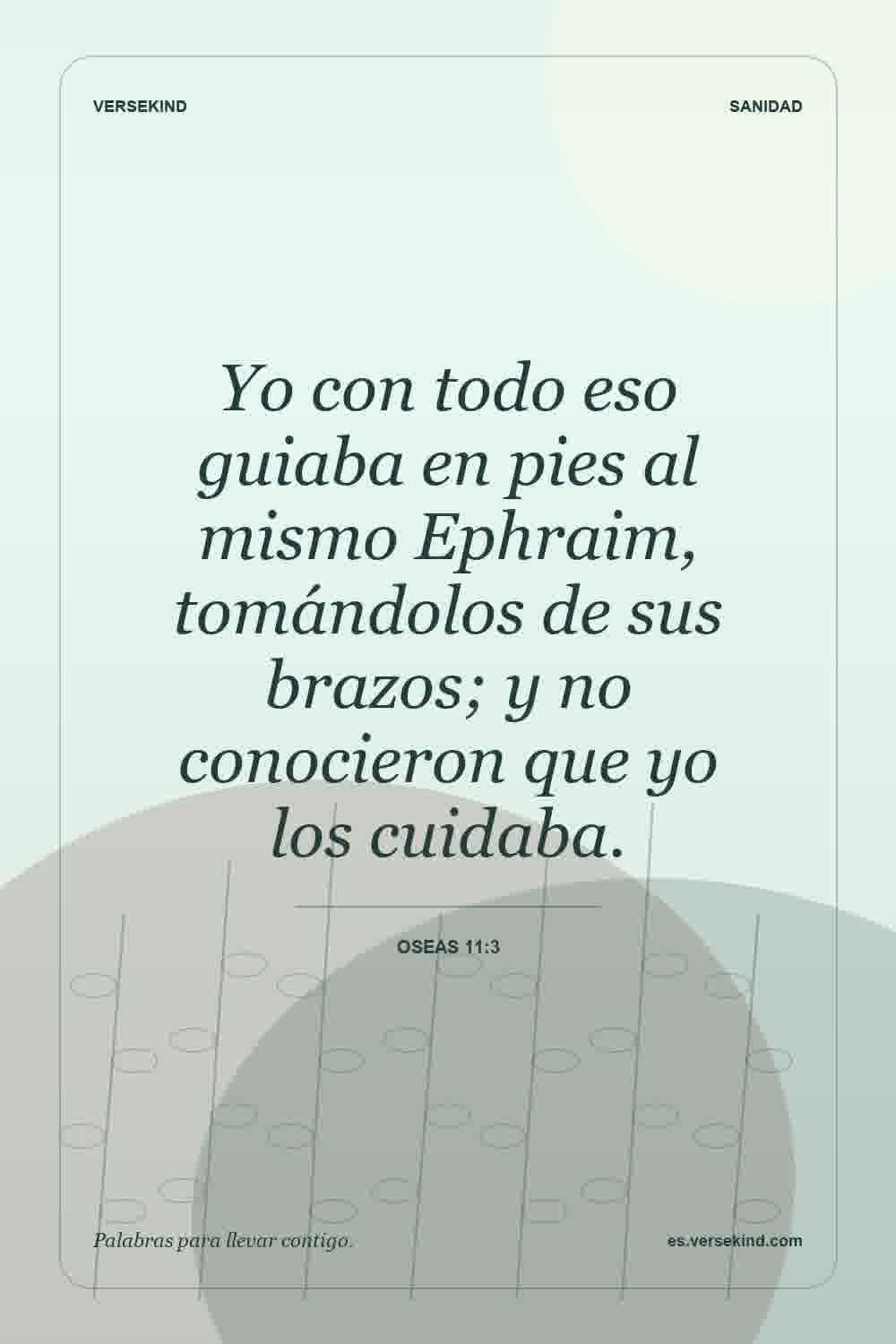Yo con todo eso guiaba en pies al mismo Ephraim, tomándolos de sus brazos; y no conocieron que yo los cuidaba. — Oseas 11:3