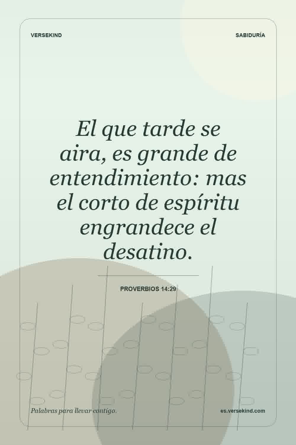 El que tarde se aira, es grande de entendimiento: mas el corto de espíritu engrandece el desatino. — Proverbios 14:29