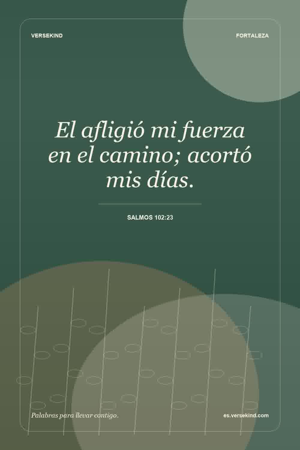 El afligió mi fuerza en el camino; acortó mis días. — Salmos 102:23
