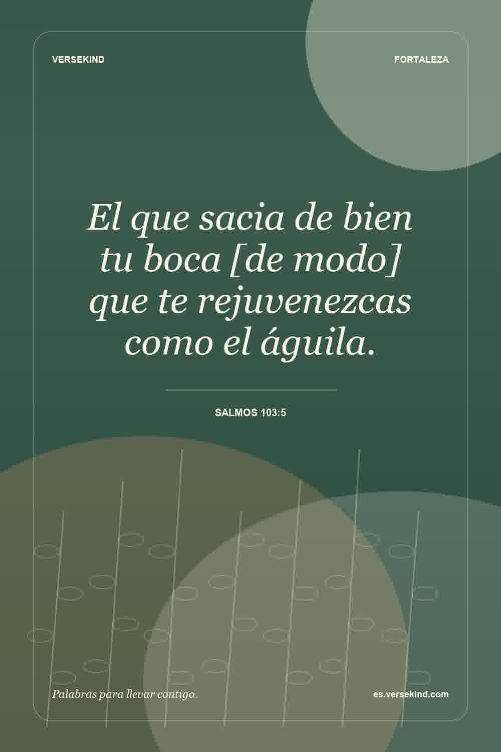 El que sacia de bien tu boca [de modo] que te rejuvenezcas como el águila. — Salmos 103:5