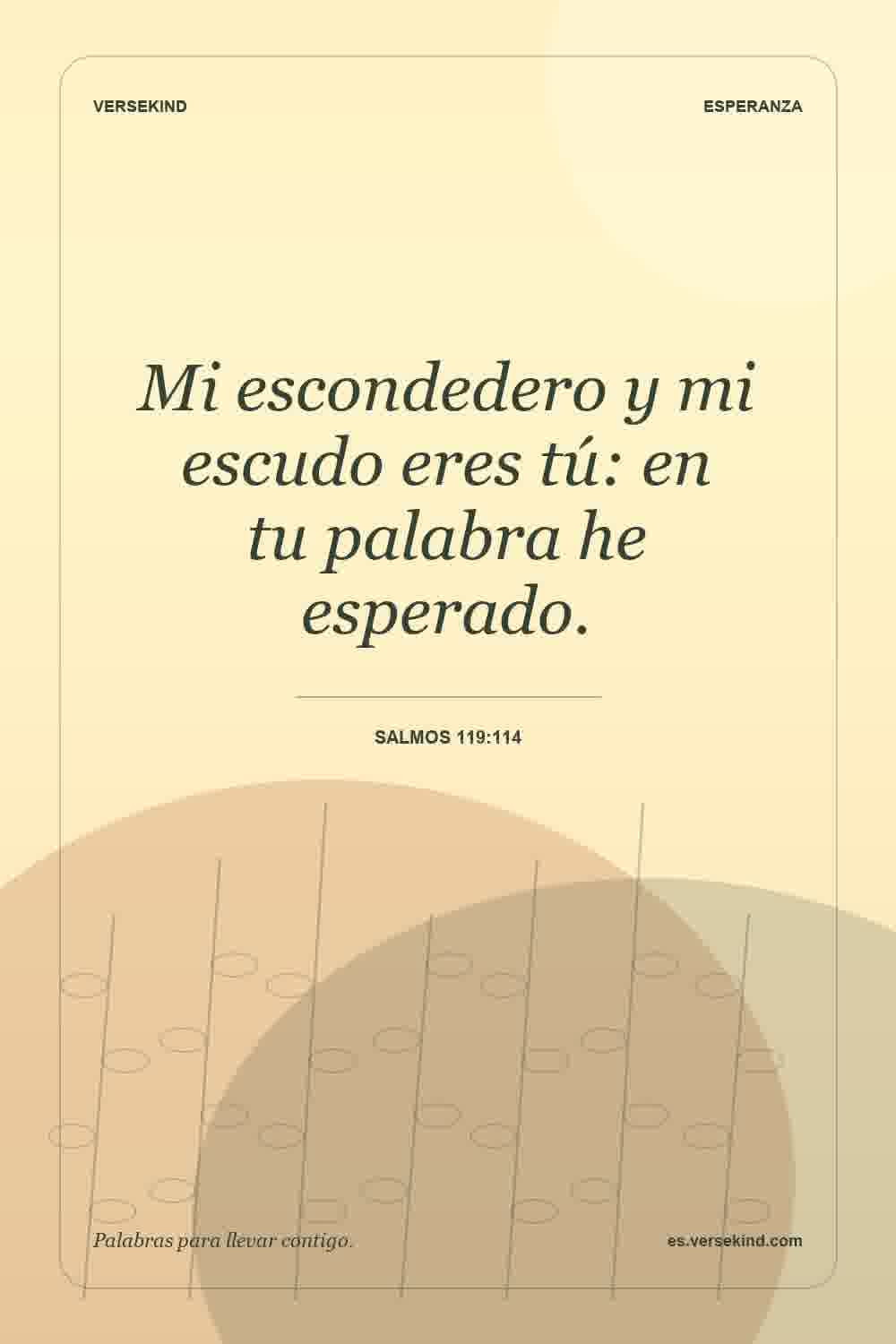 Mi escondedero y mi escudo eres tú: en tu palabra he esperado. — Salmos 119:114