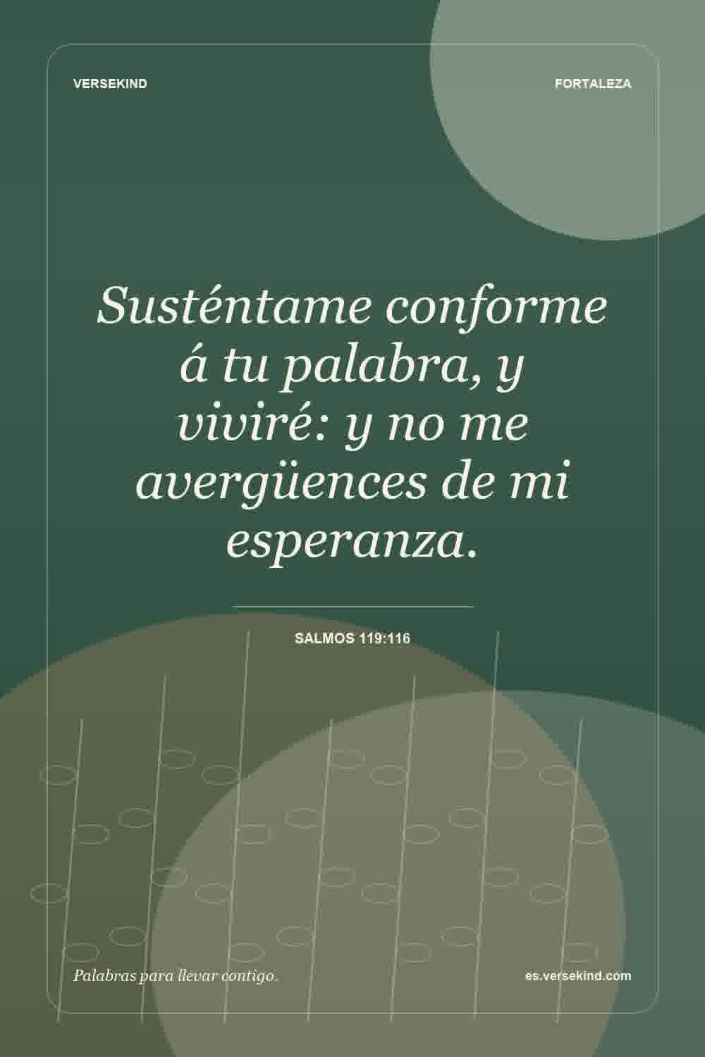 Susténtame conforme á tu palabra, y viviré: y no me avergüences de mi esperanza. — Salmos 119:116