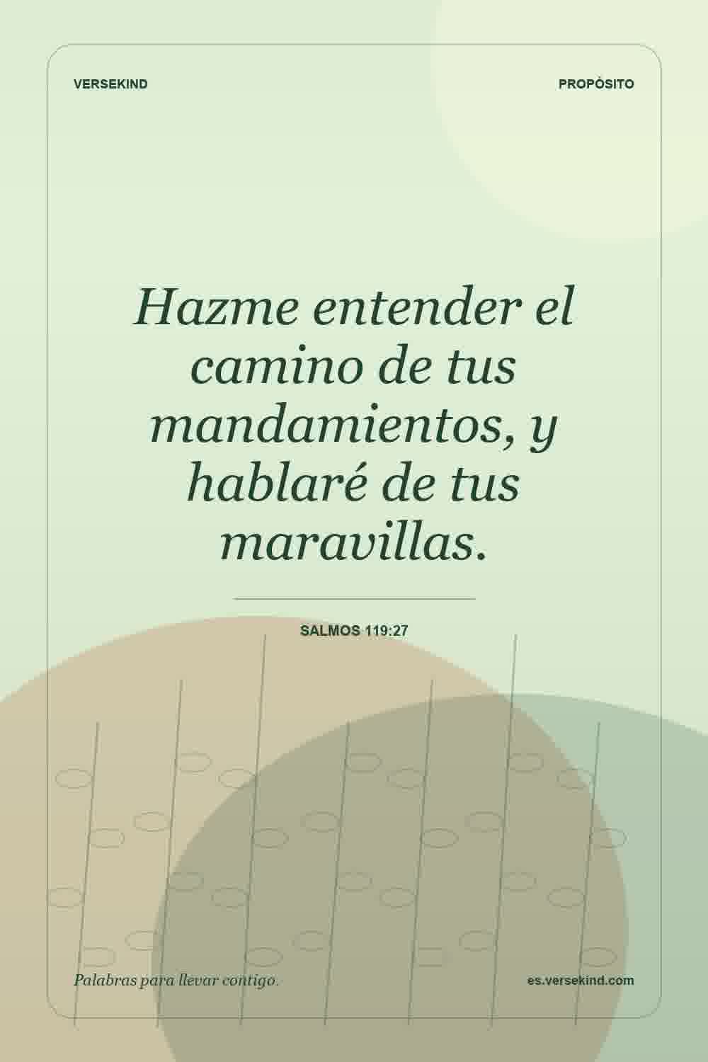 Hazme entender el camino de tus mandamientos, y hablaré de tus maravillas. — Salmos 119:27