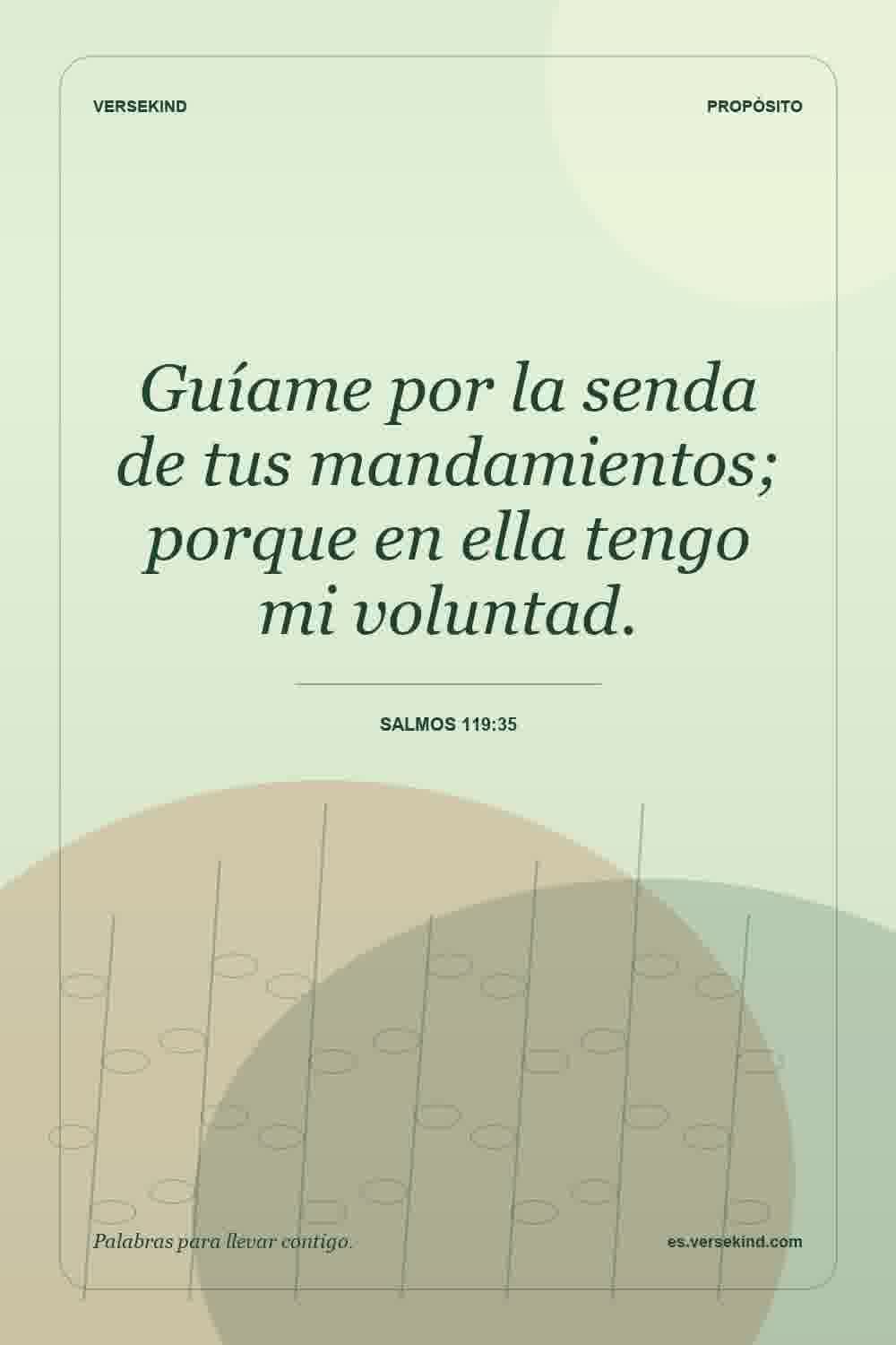 Guíame por la senda de tus mandamientos; porque en ella tengo mi voluntad. — Salmos 119:35