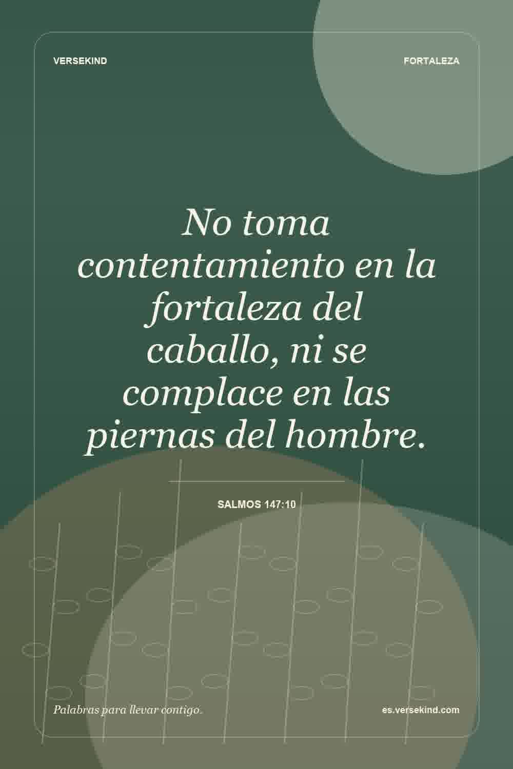 No toma contentamiento en la fortaleza del caballo, ni se complace en las piernas del hombre. — Salmos 147:10