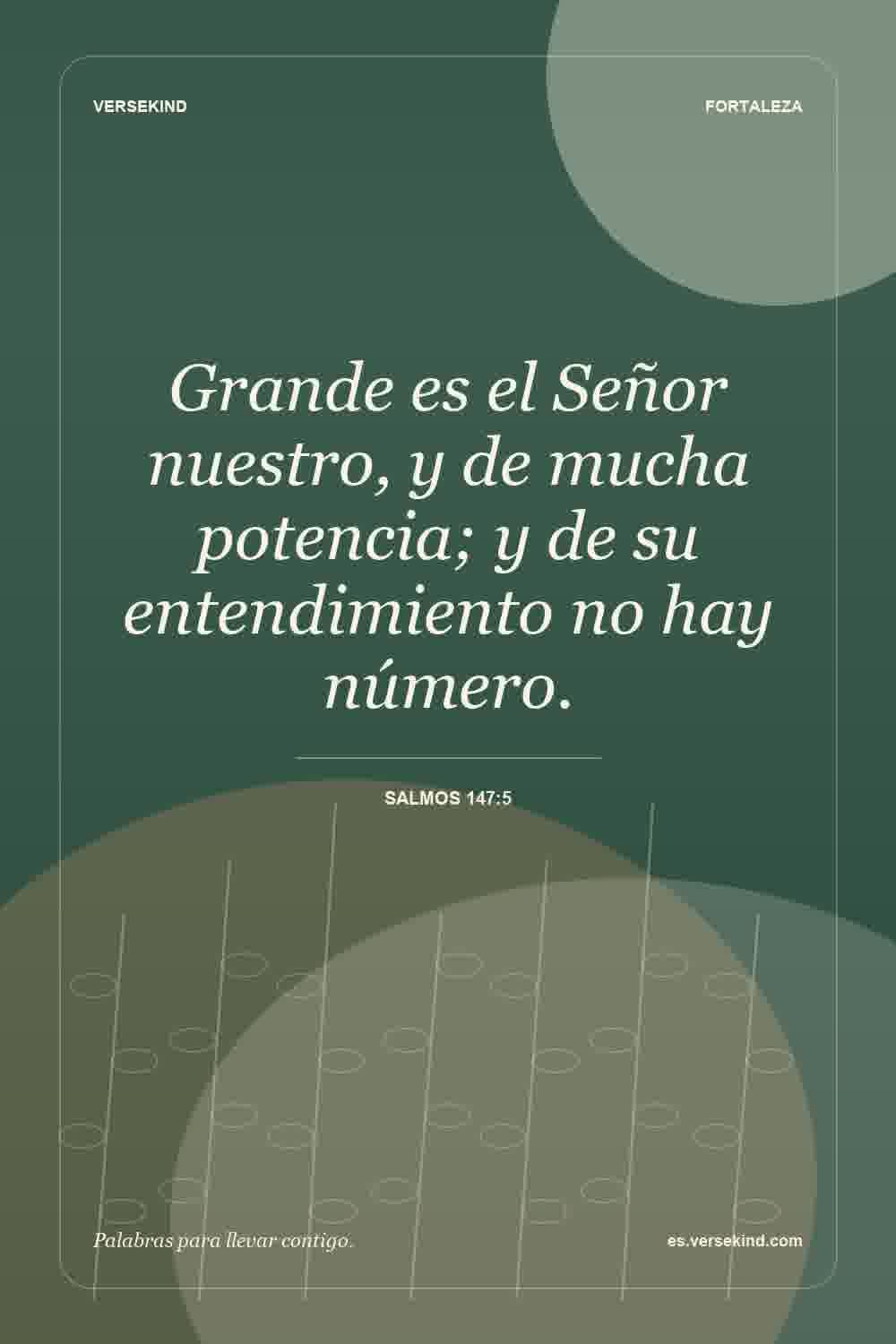 Grande es el Señor nuestro, y de mucha potencia; y de su entendimiento no hay número. — Salmos 147:5