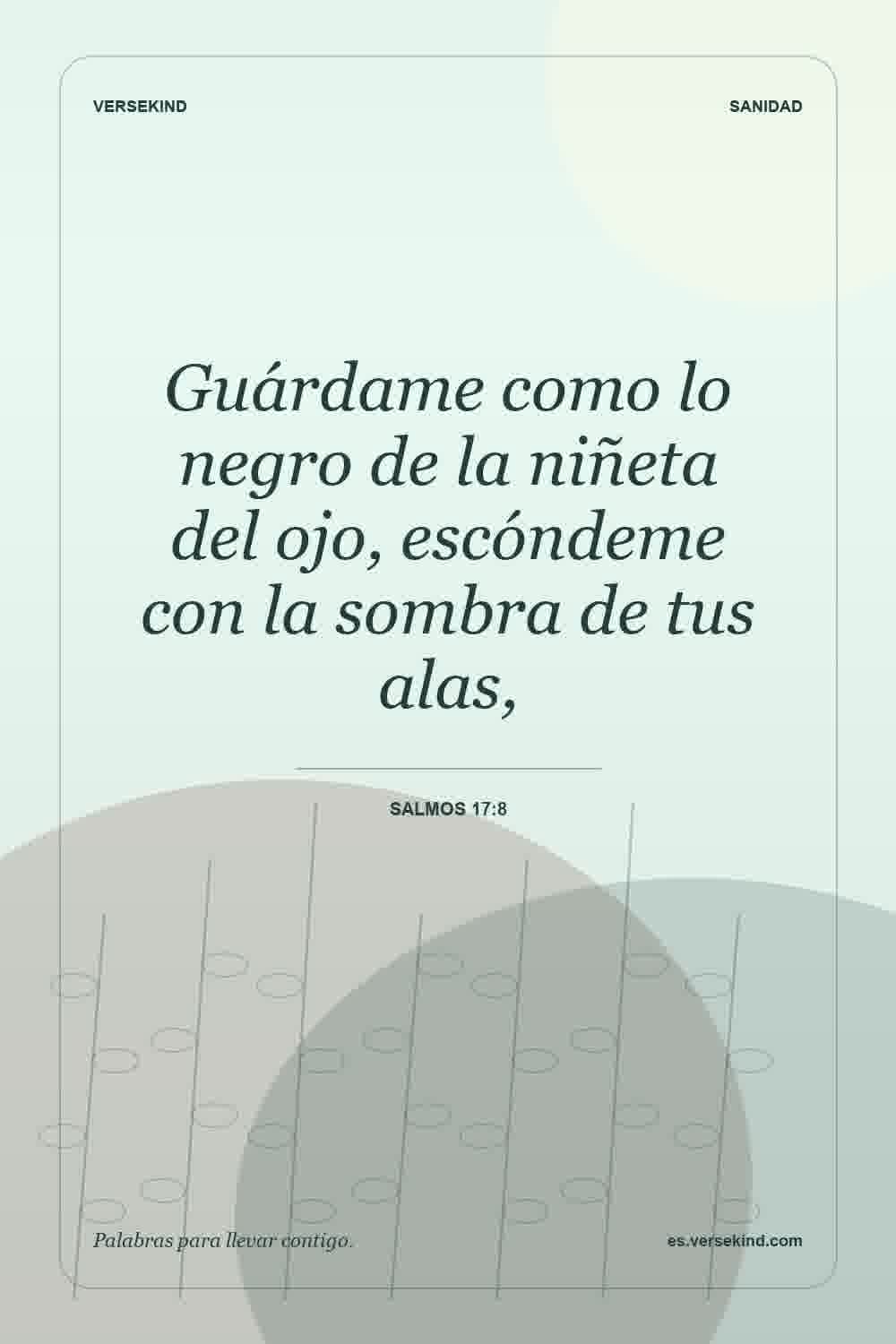 Guárdame como lo negro de la niñeta del ojo, escóndeme con la sombra de tus alas, — Salmos 17:8