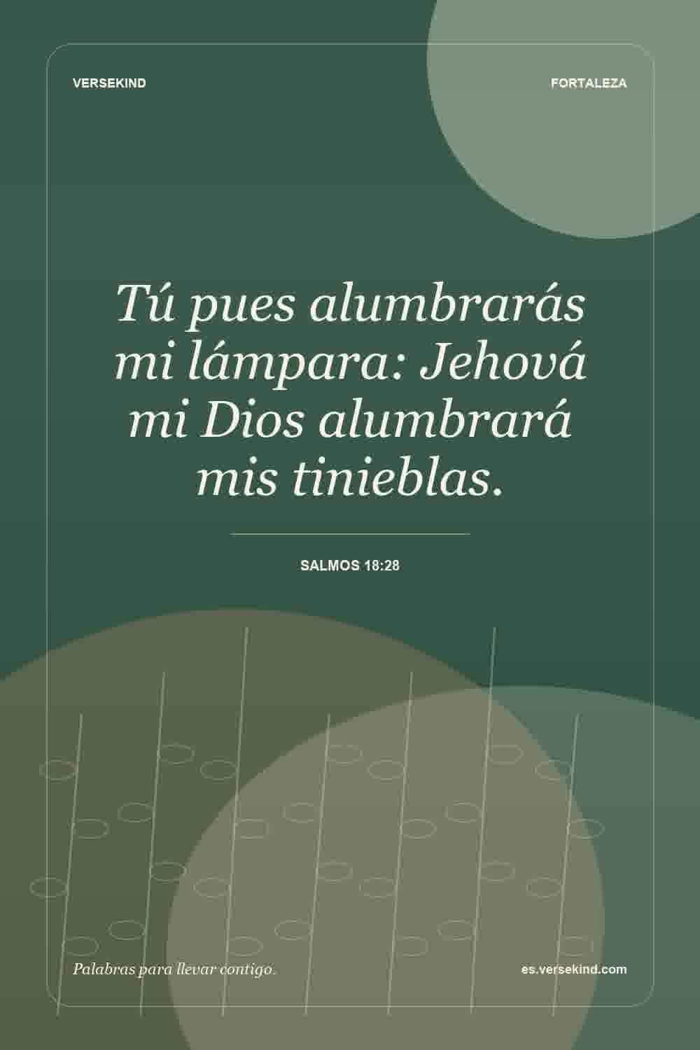 Tú pues alumbrarás mi lámpara: Jehová mi Dios alumbrará mis tinieblas. — Salmos 18:28