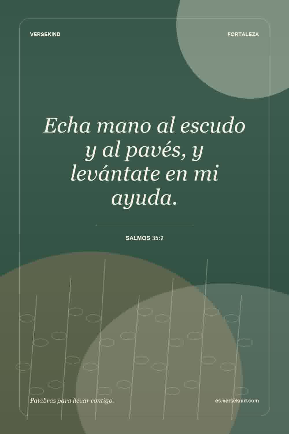 Echa mano al escudo y al pavés, y levántate en mi ayuda. — Salmos 35:2
