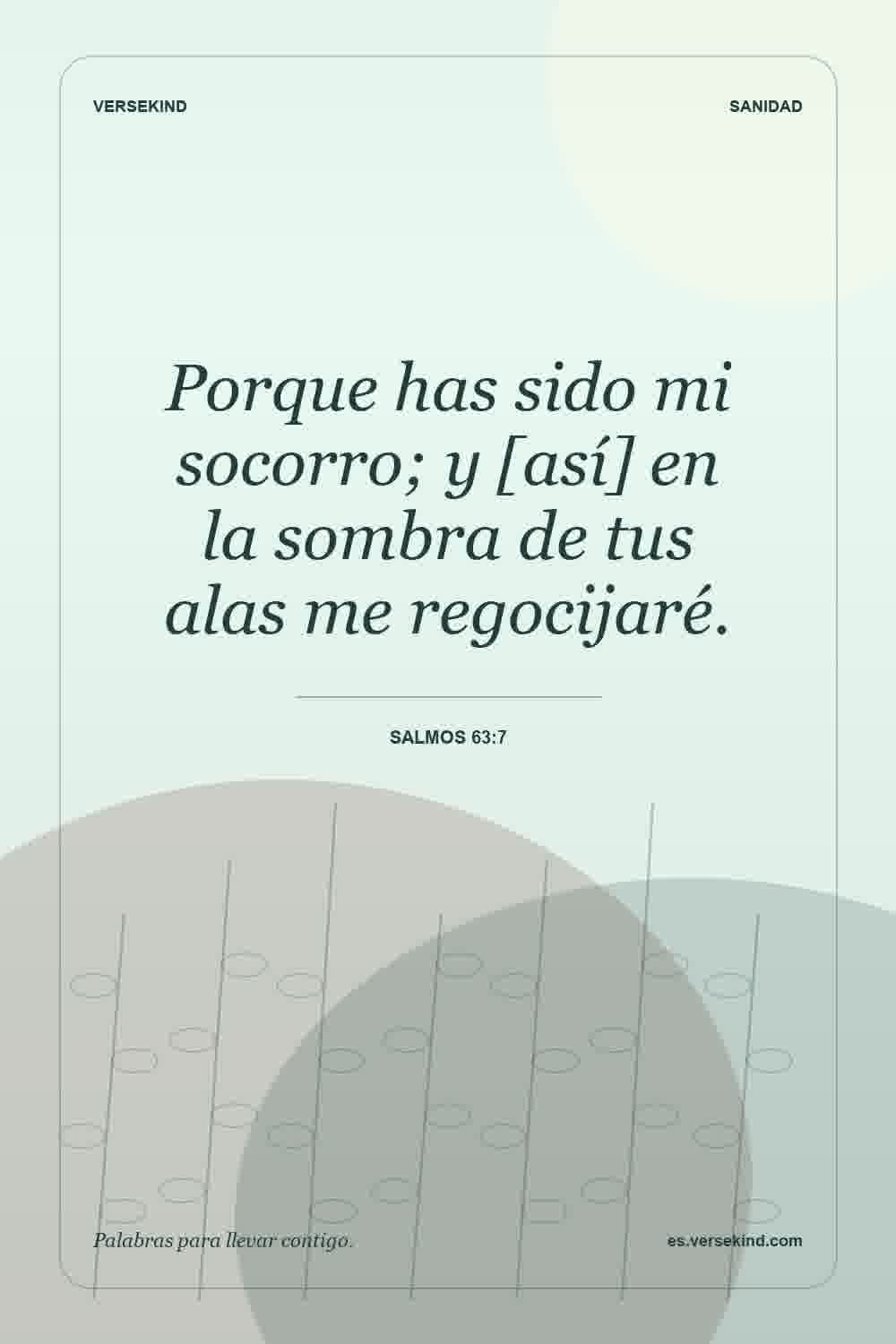 Porque has sido mi socorro; y [así] en la sombra de tus alas me regocijaré. — Salmos 63:7