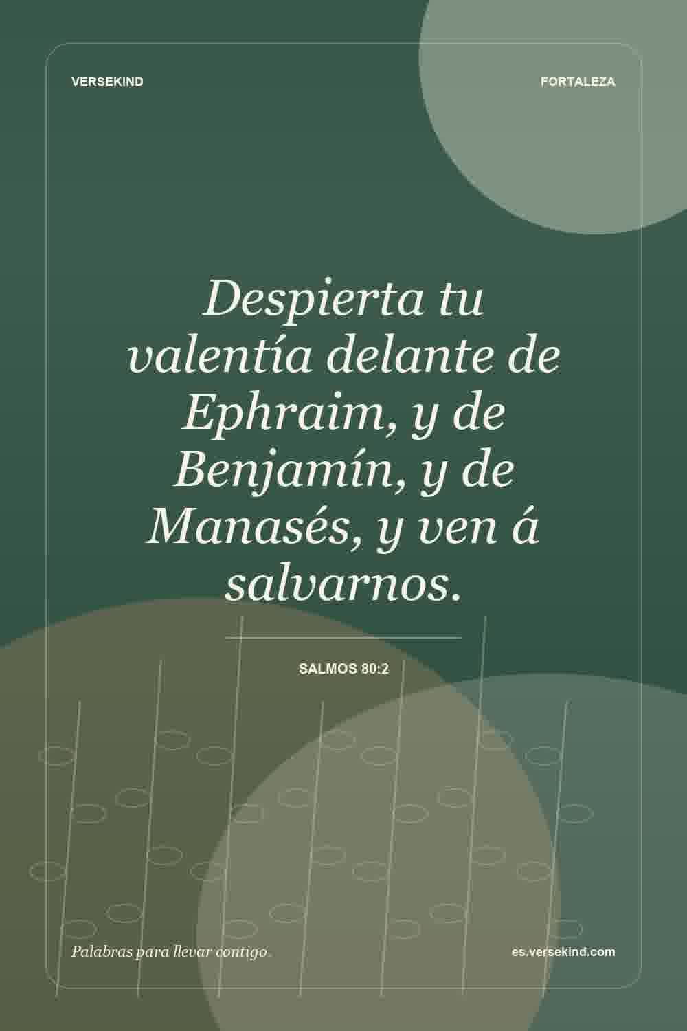 Despierta tu valentía delante de Ephraim, y de Benjamín, y de Manasés, y ven á salvarnos. — Salmos 80:2