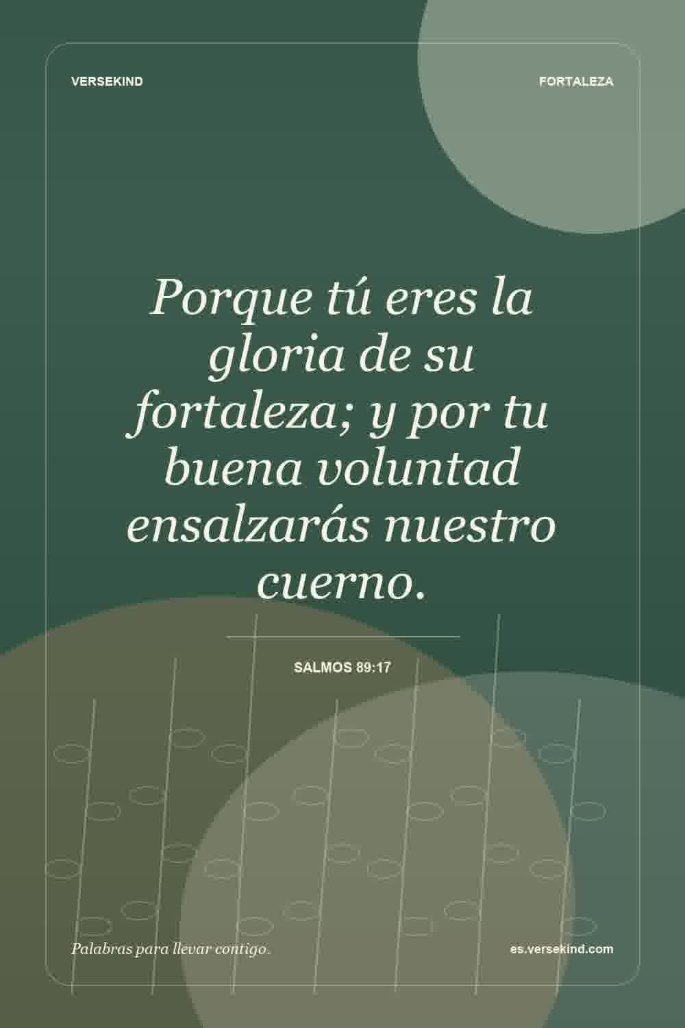 Porque tú eres la gloria de su fortaleza; y por tu buena voluntad ensalzarás nuestro cuerno. — Salmos 89:17