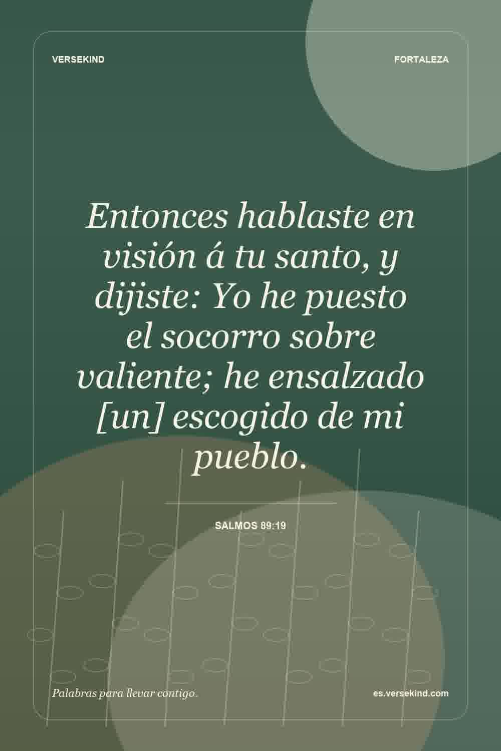 Entonces hablaste en visión á tu santo, y dijiste: Yo he puesto el socorro sobre valiente; he ensalzado [un] escogido de mi pueblo. — Salmos 89:19